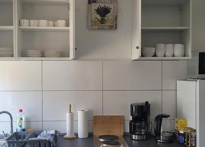 Ap1 90qm 3 Sz Terrasse Bei Oschersleben Und Helmstedt 公寓 Ausleben